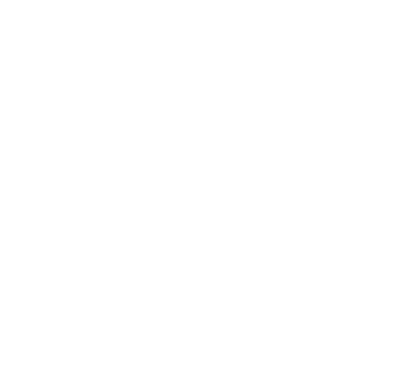 ISO Logo